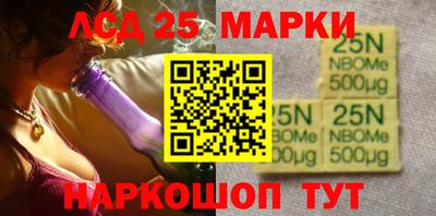 гашик Будённовск