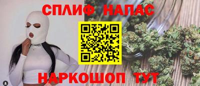 гашик Будённовск
