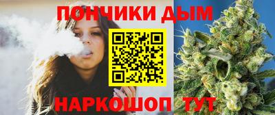 гашик Будённовск