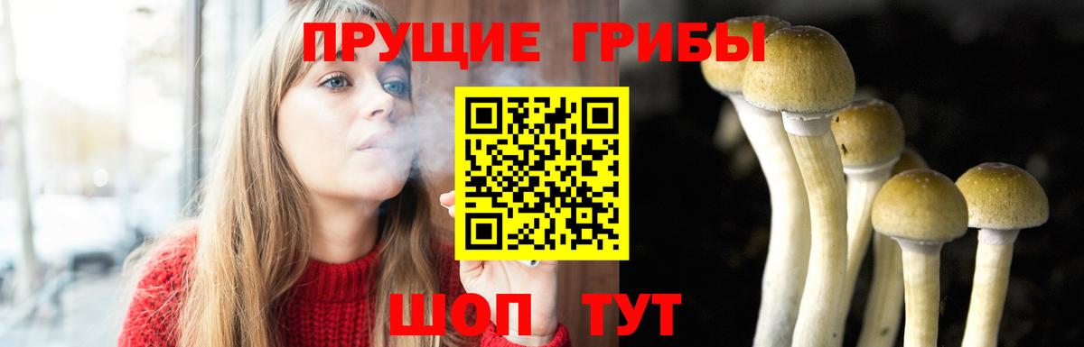 Псилоцибиновые грибы Magic Shrooms Рославль